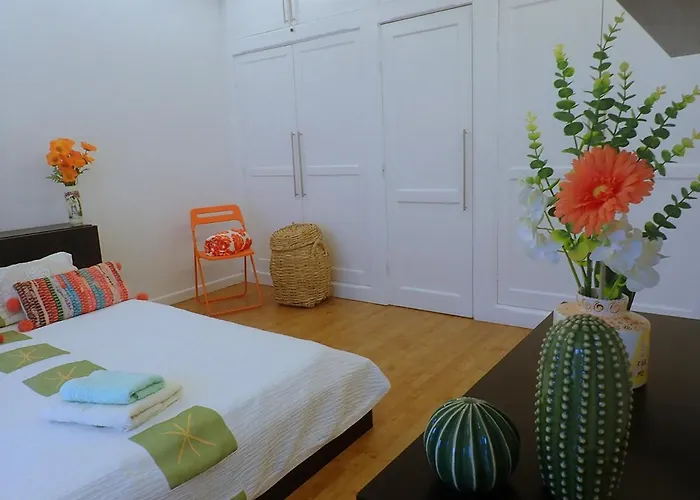 Apartment New Colonyclub