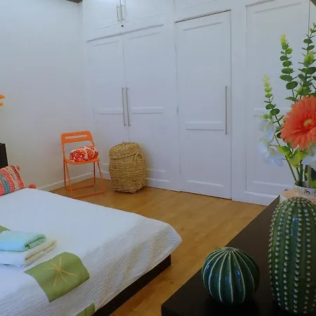 Appartement New Colonyclub