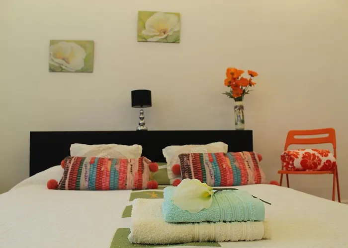 New Colonyclub 卡门港