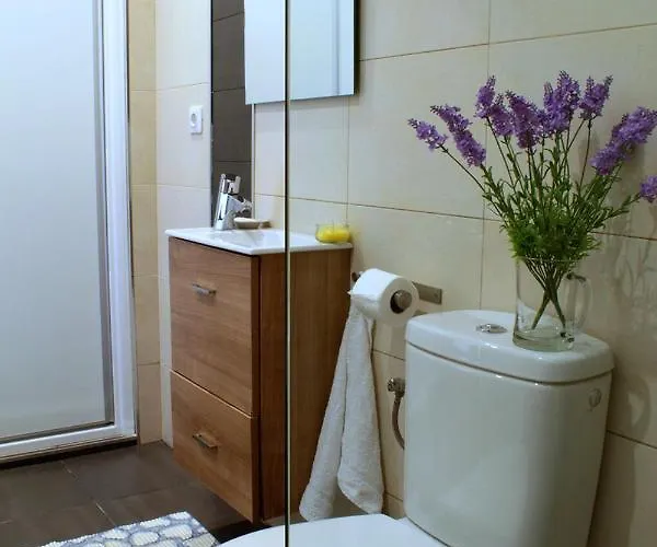 Apartment New Colonyclub